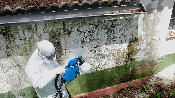 Trusted Mold Testing service in Osterburg, PA - Cheap Mold Removal